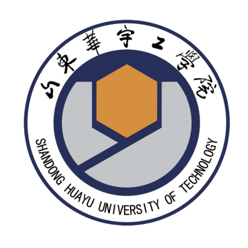 山东华宇工学院