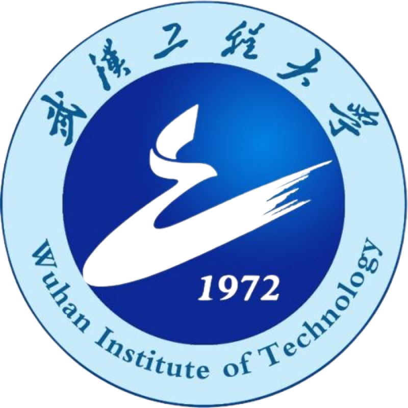 武汉工程大学